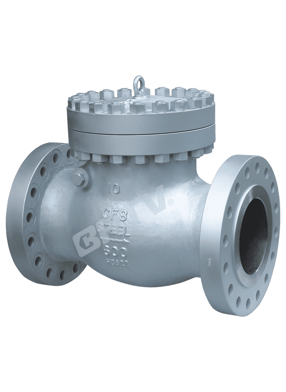 ASME Check Valve