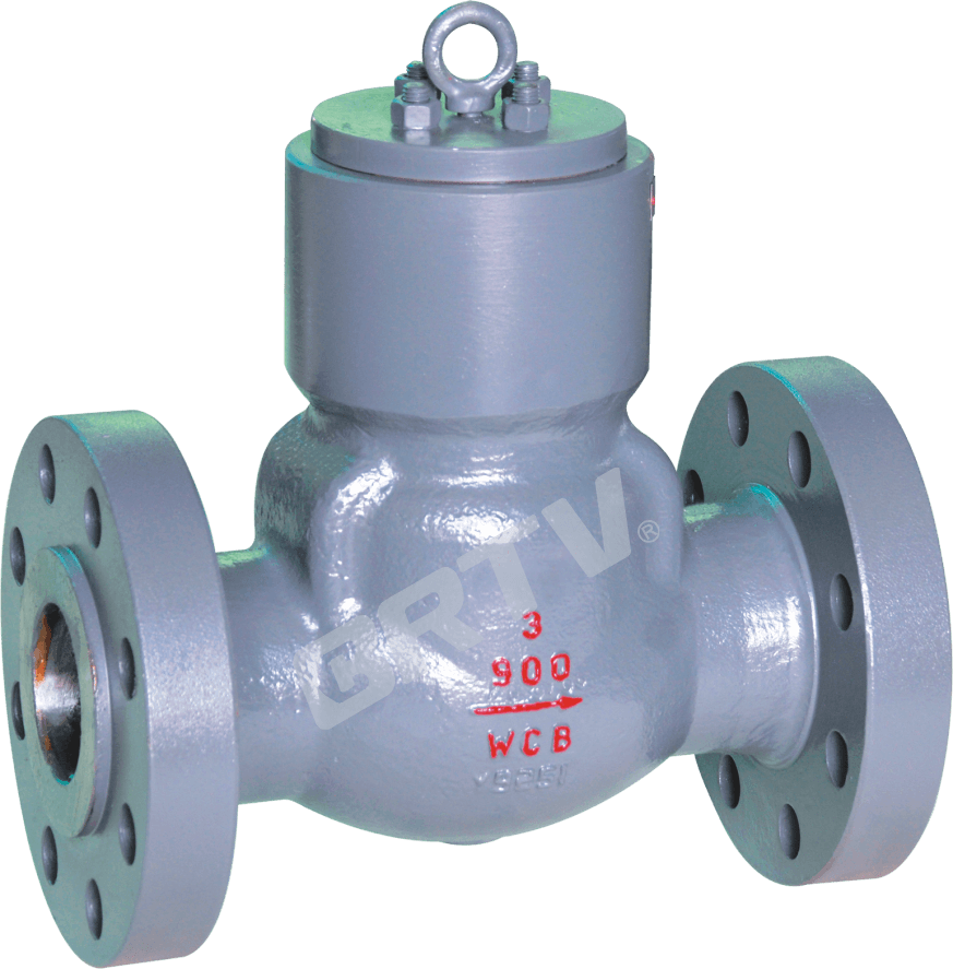 ASME Check Valve thumbnail 2