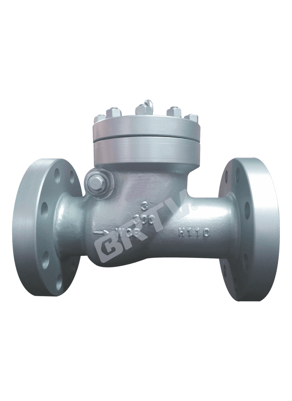 ASME Check Valve thumbnail 3