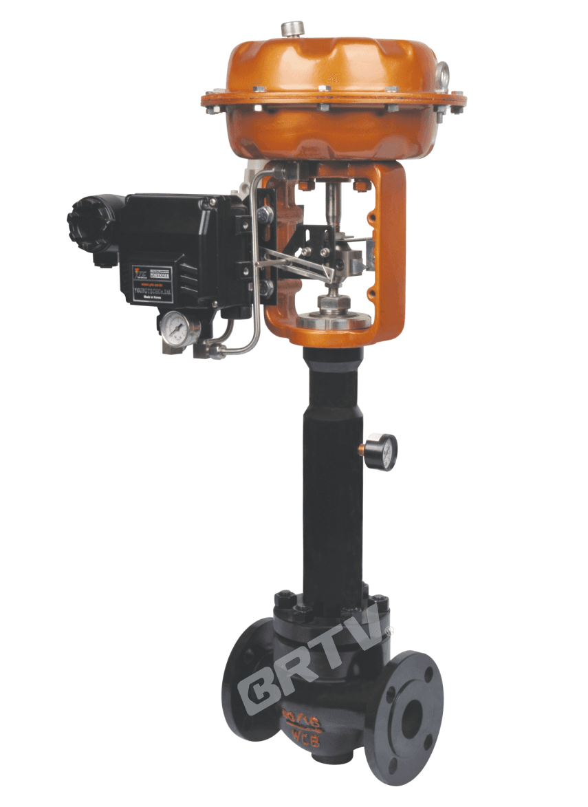 Bellows Cage Type Control Valve