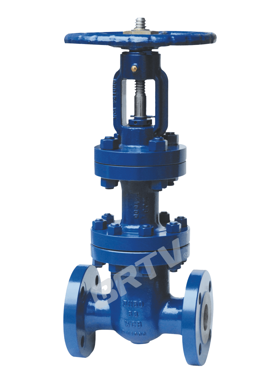 Bellows Gate Valve