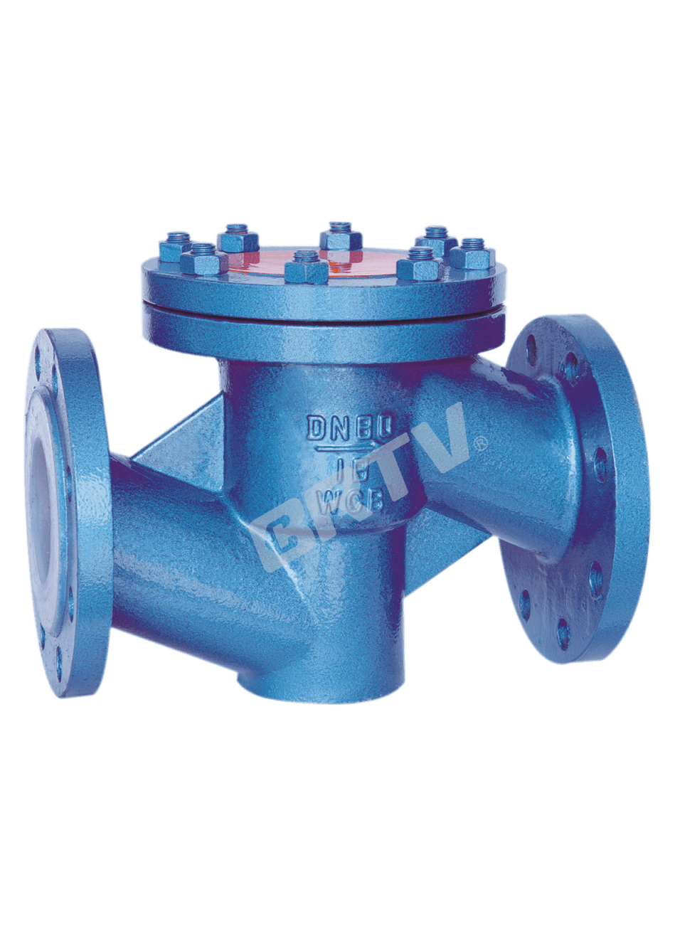 Fluorine Lined Check Valve