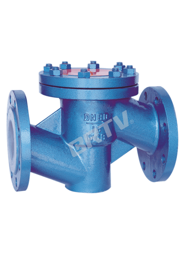 Fluorine Lined Check Valve
