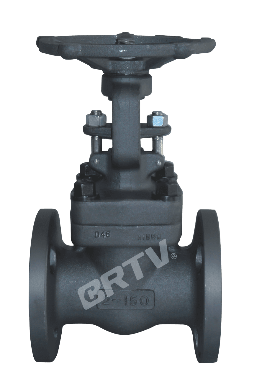 Forged Steel Gate Valve
