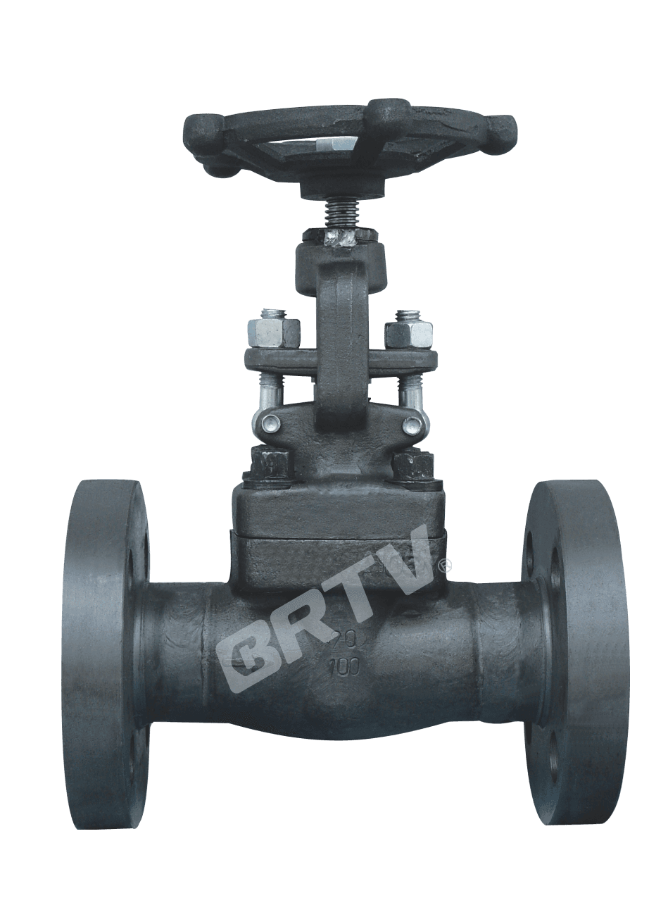 Forged Steel Globe Valve