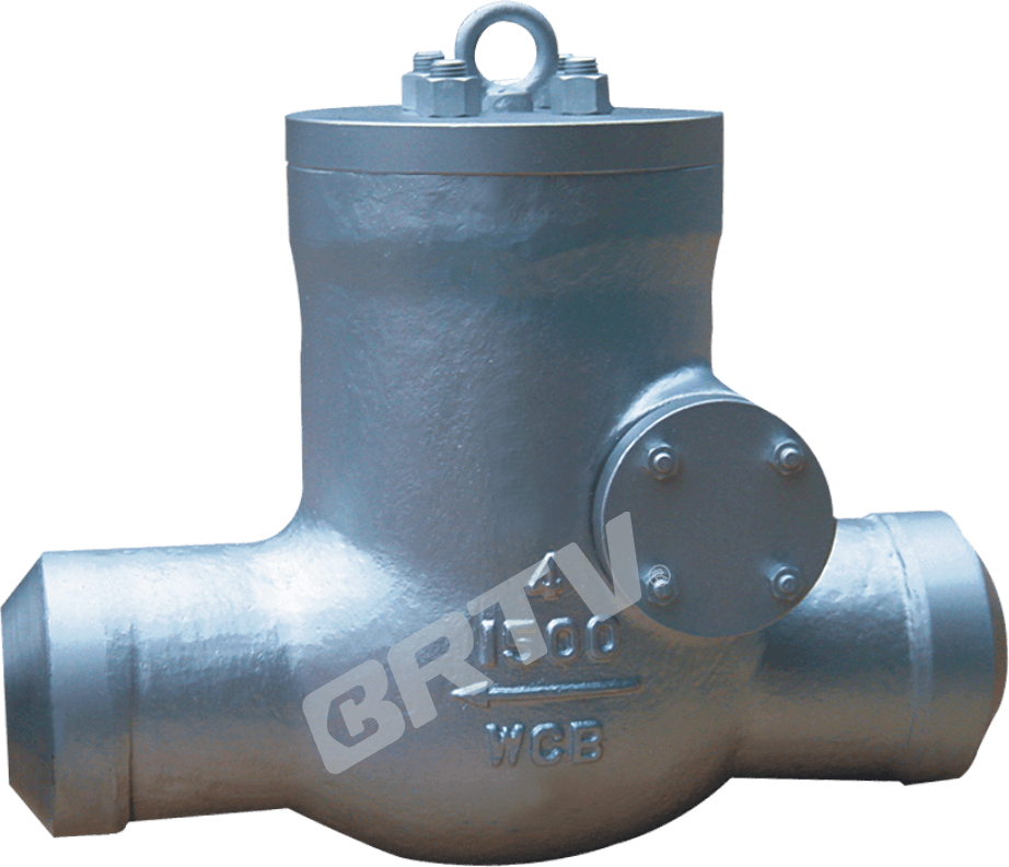 High Pressure Check Valve thumbnail 2