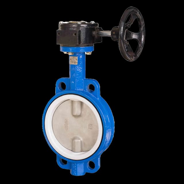 PTFE Valve