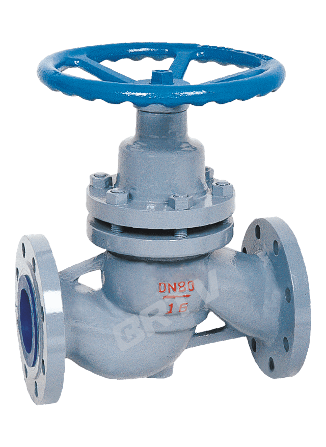 Plunger Valve