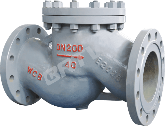 Swing Check Valve
