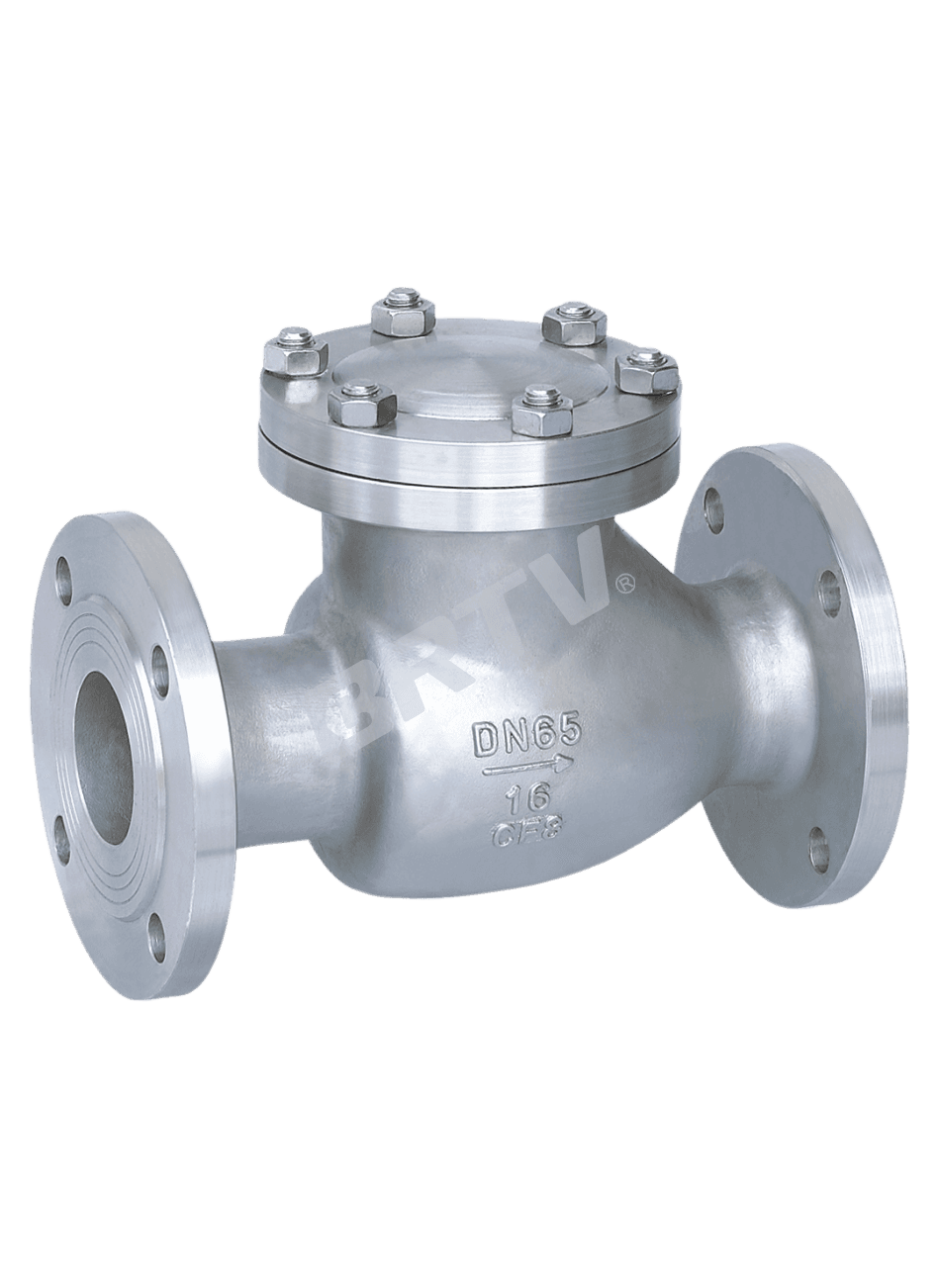 Swing Check Valve thumbnail 2