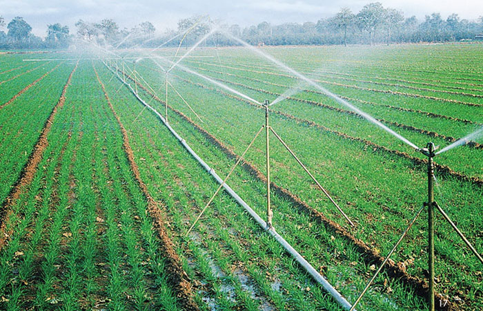 Agriculture and Irrigation