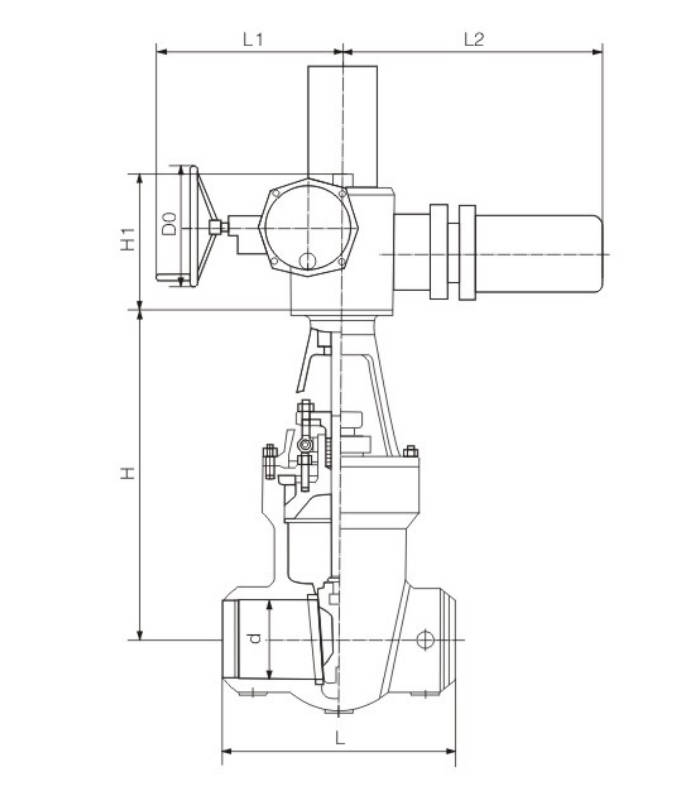 High Temperature High Pressure Gate Valve